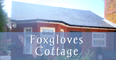 fox gloves cottage